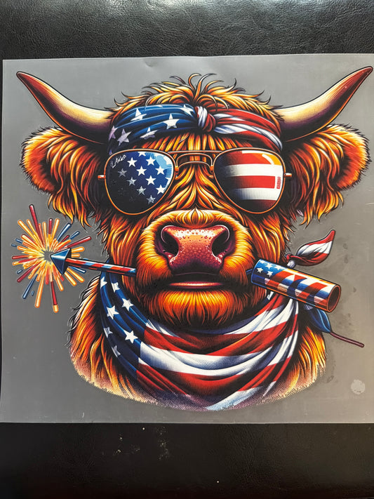 Fourth of July Cow Transfer