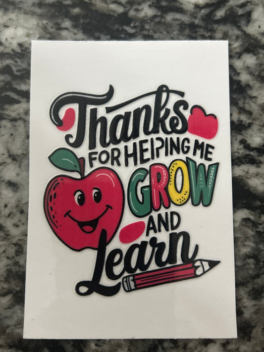 Teacher 5