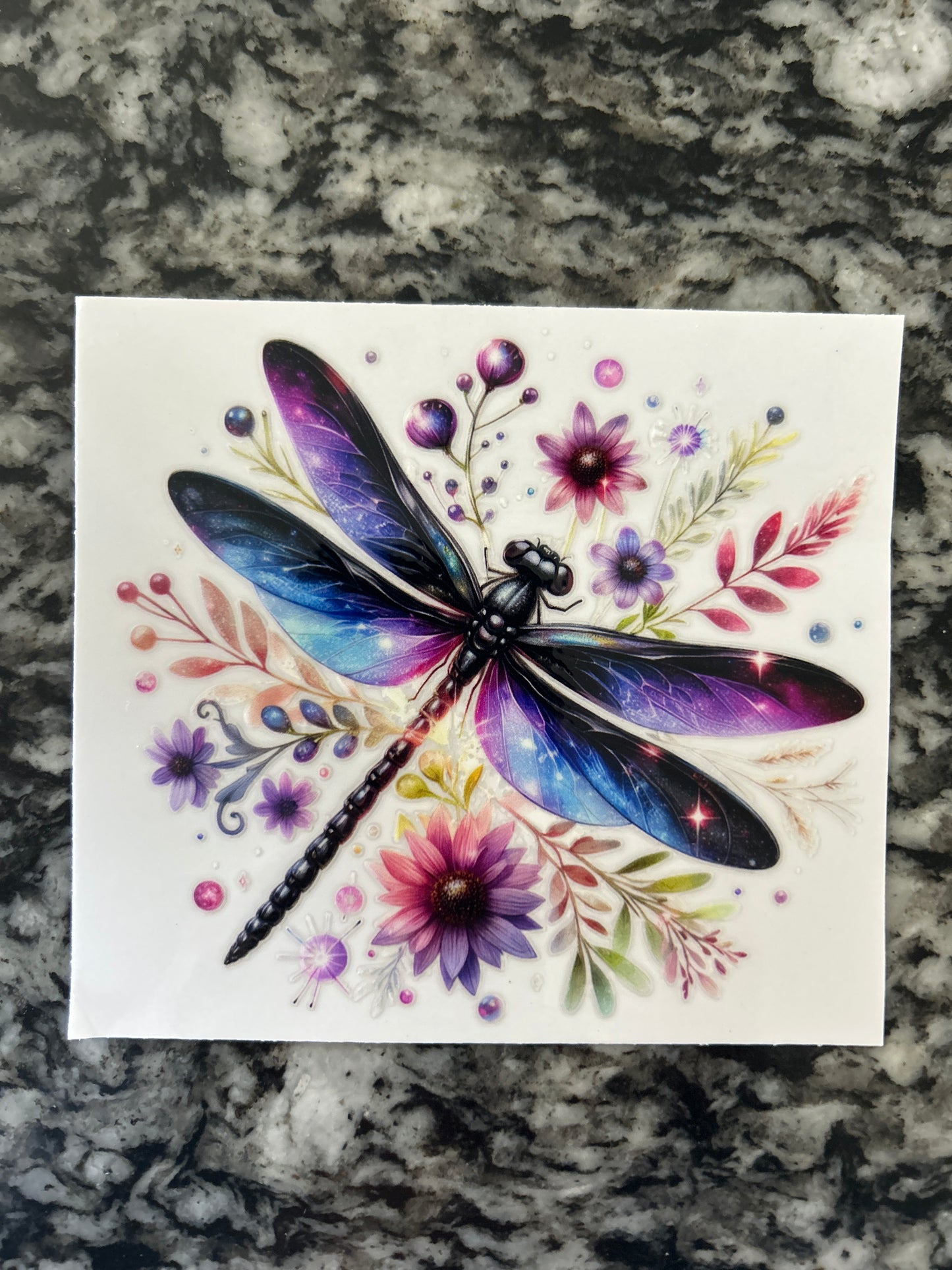 Dragonfly 11