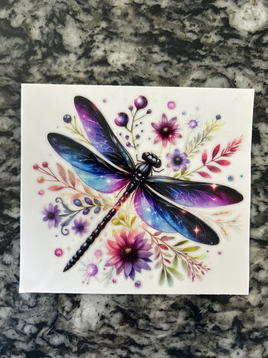 Dragonfly 11