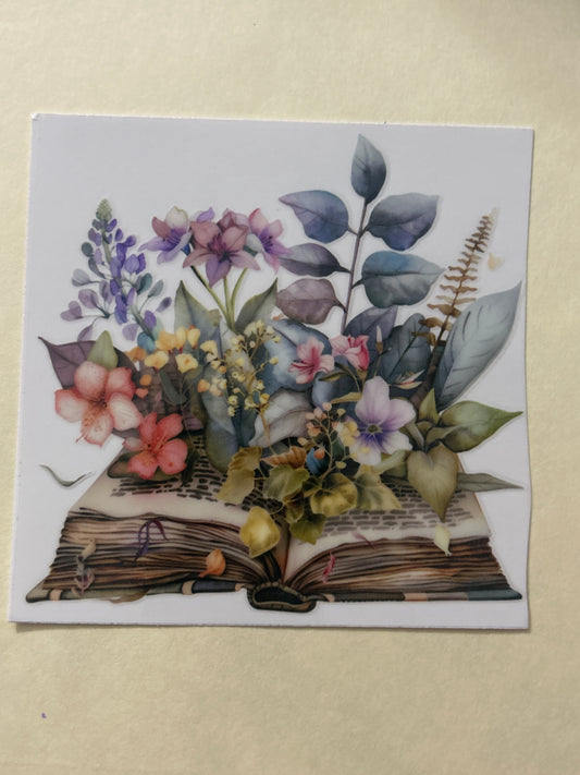 Books 5