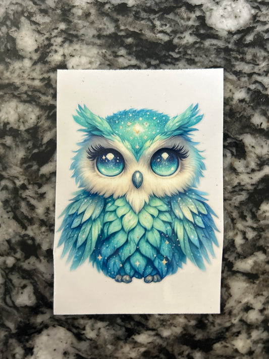 Owl 12