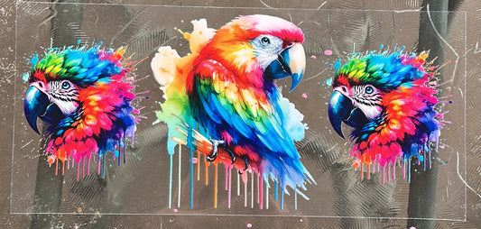 423 Parrot wrap