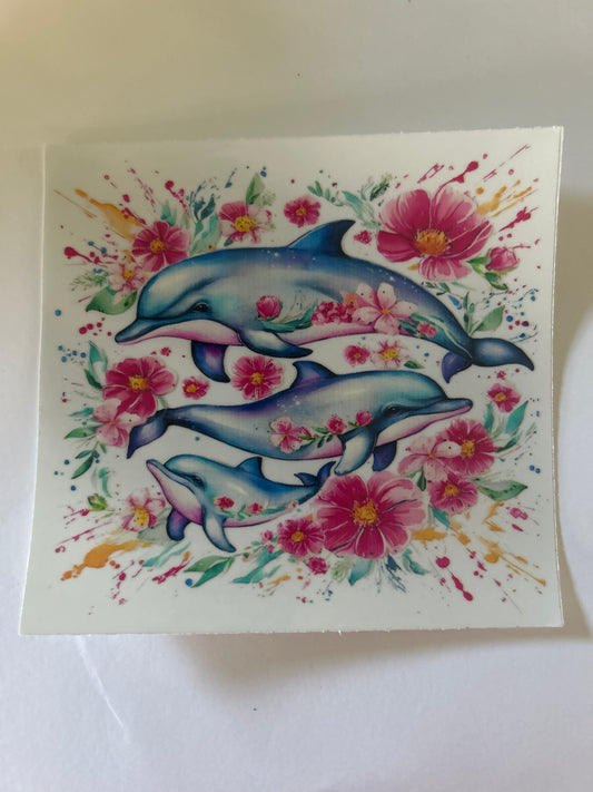 Dolphin 4