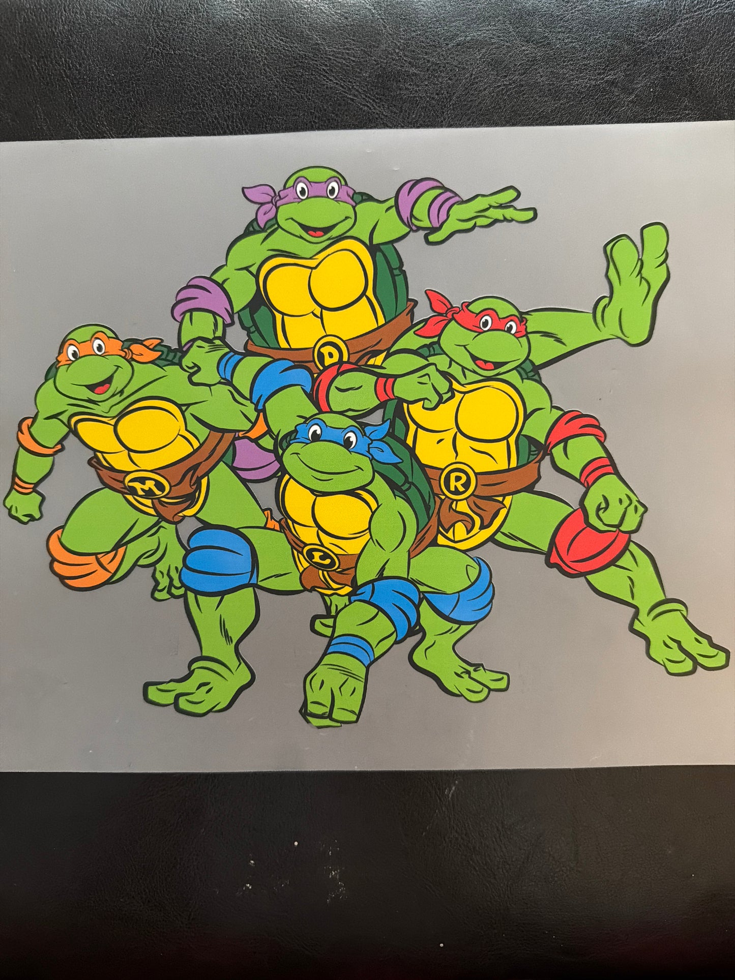 ✨17 Ninja Turtle Transfer