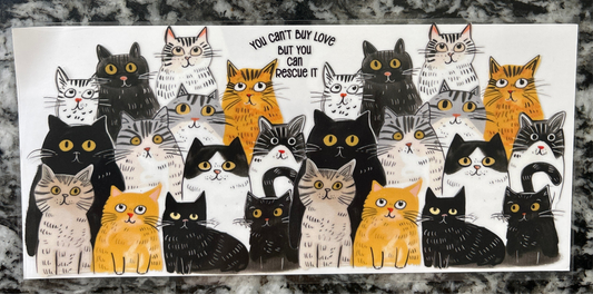 230 Cats wrap