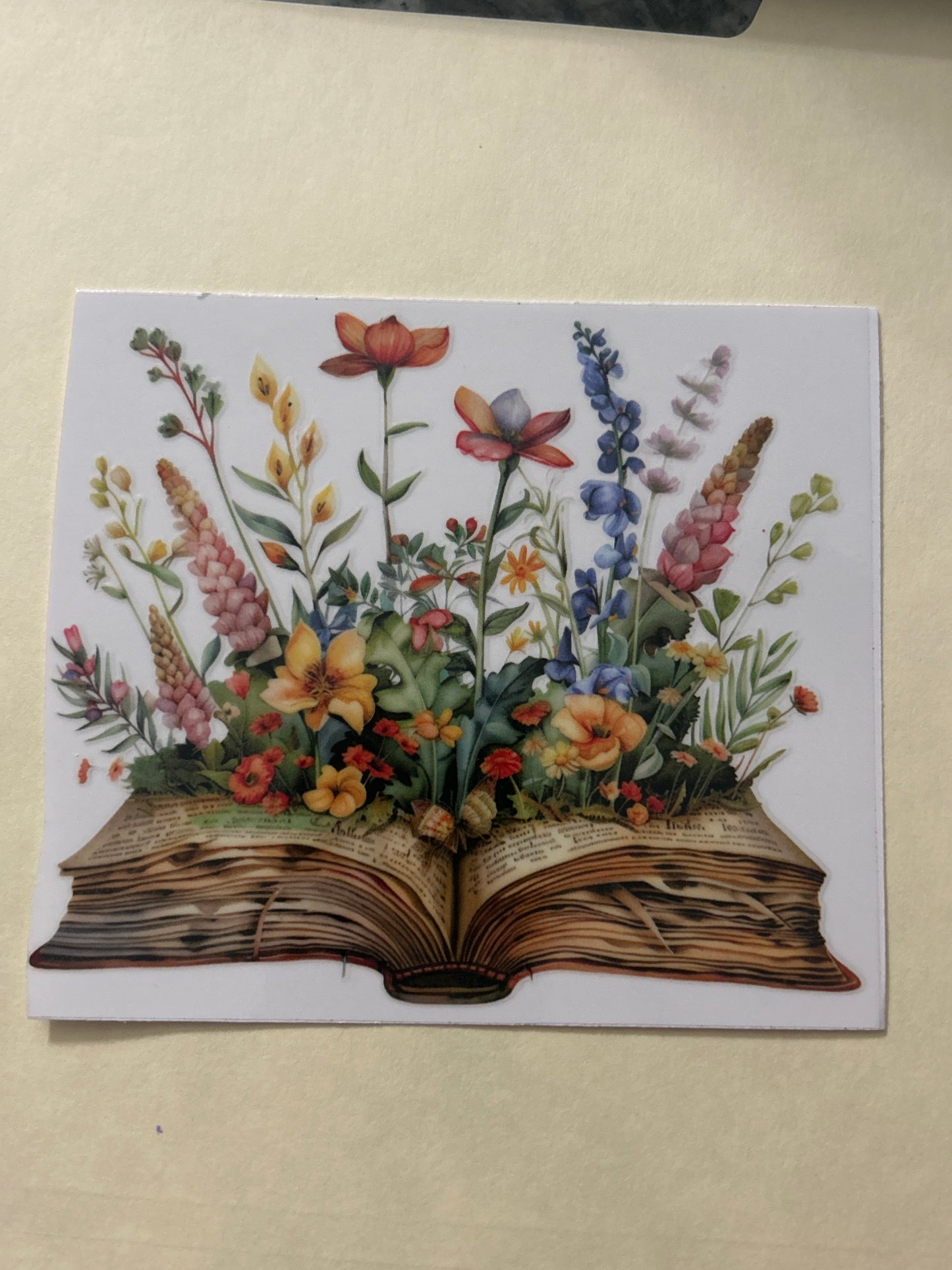 Books 4