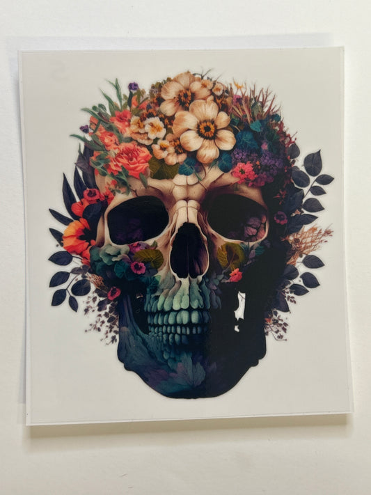 Skull 5