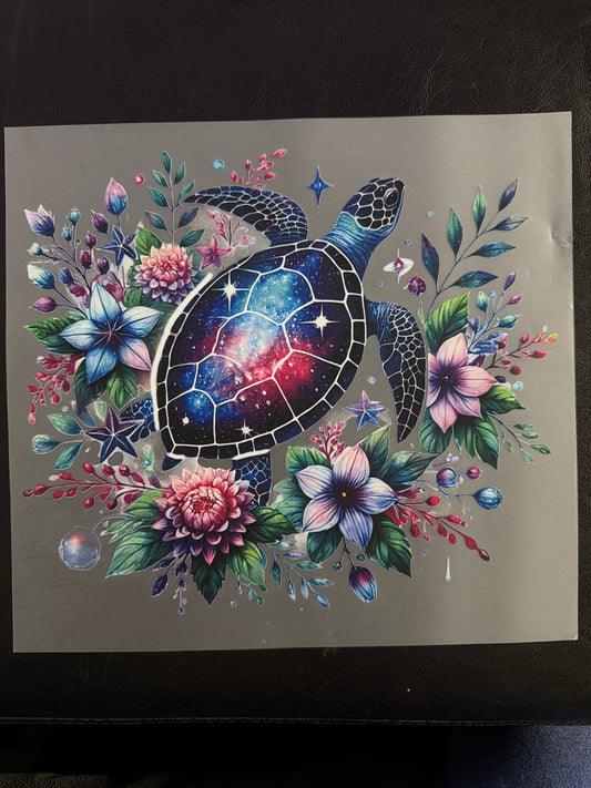 Turtle Transfer