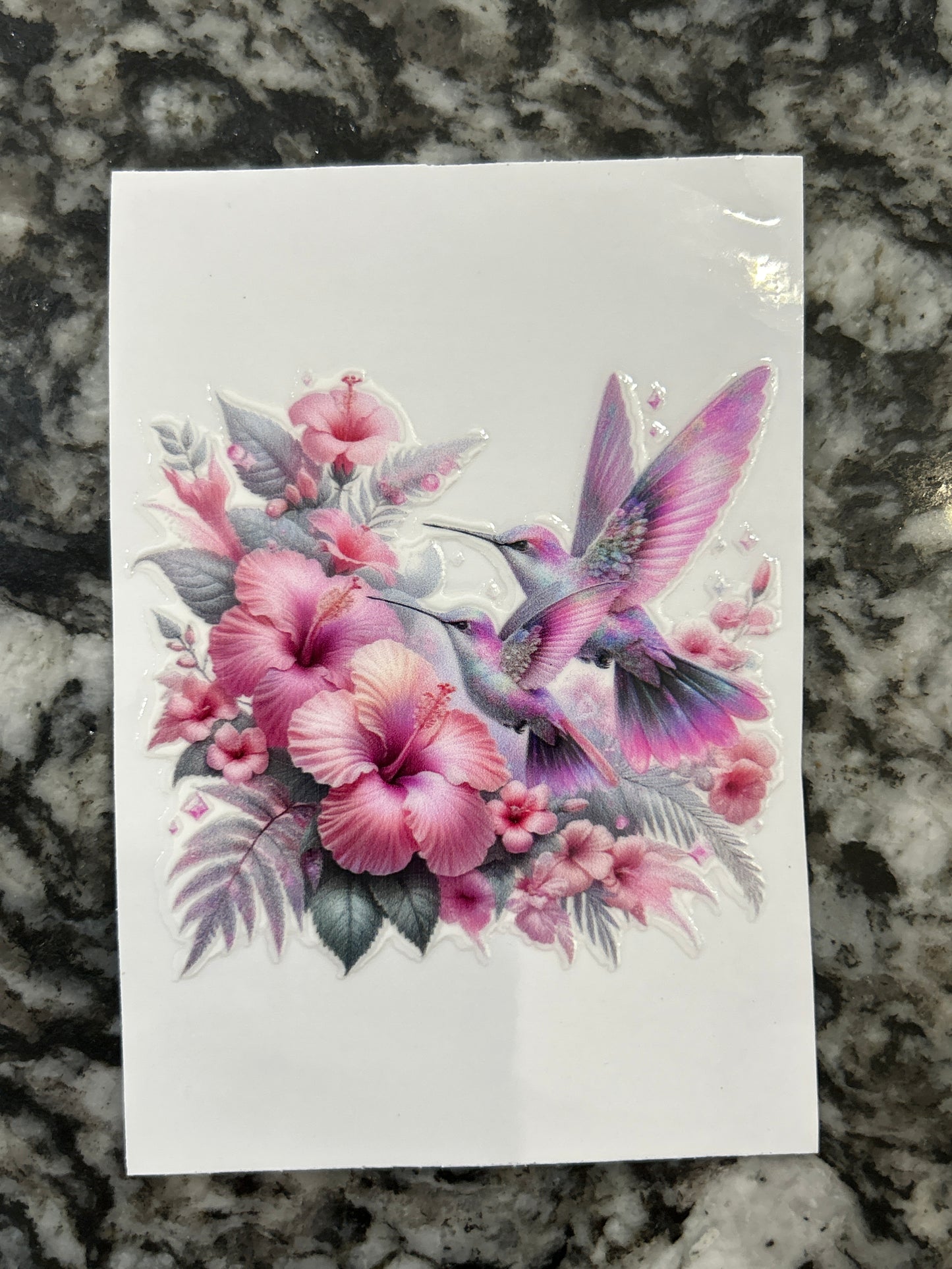 Hummingbird 2
