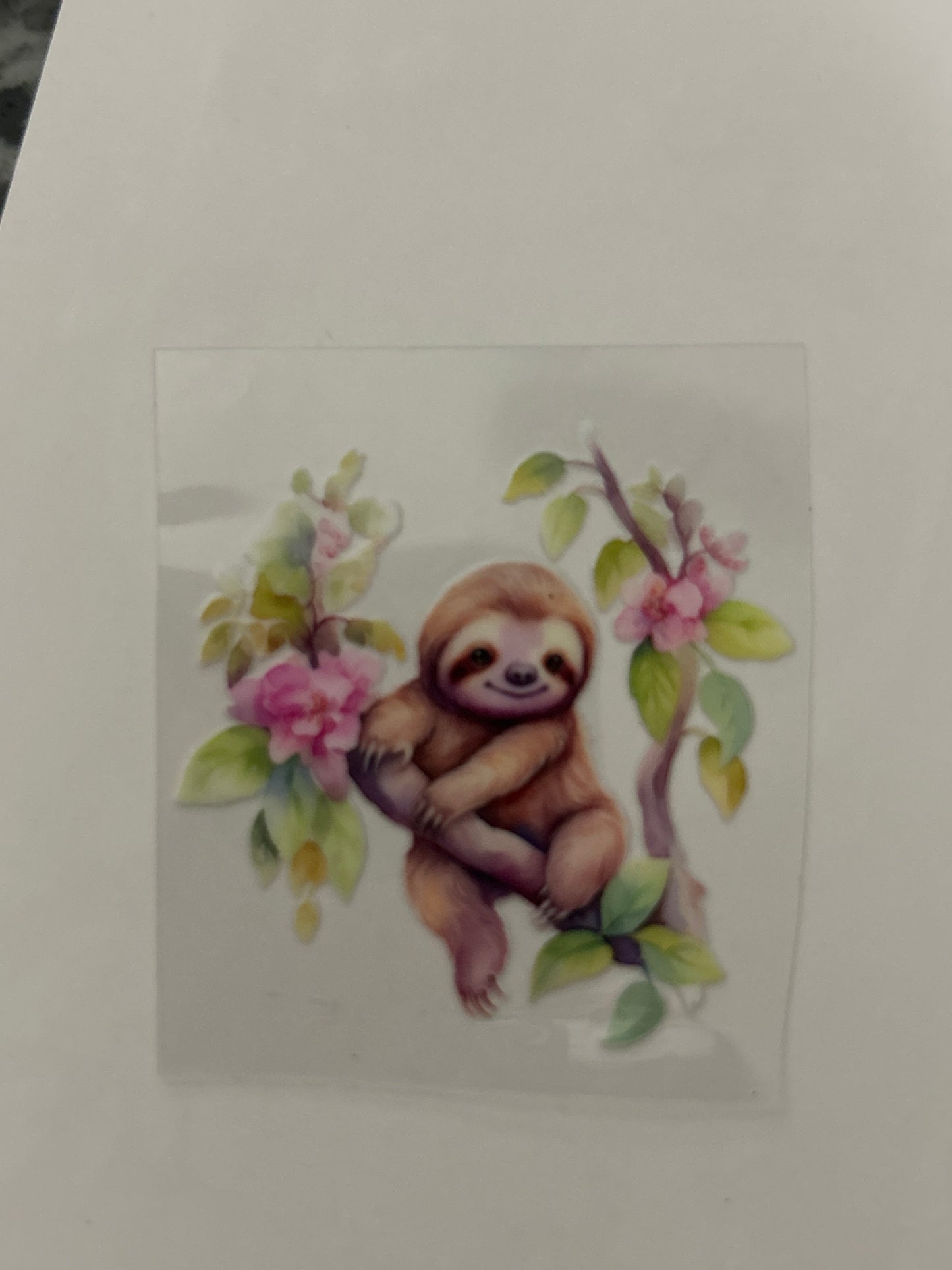 Sloth 3