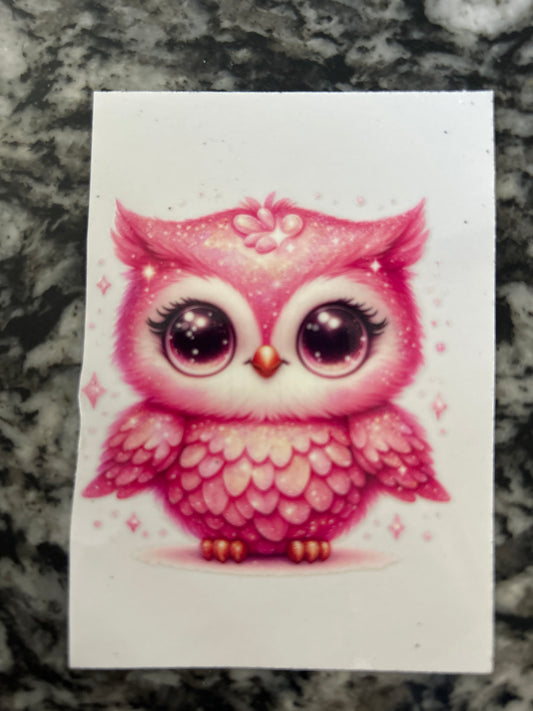 Owl 9