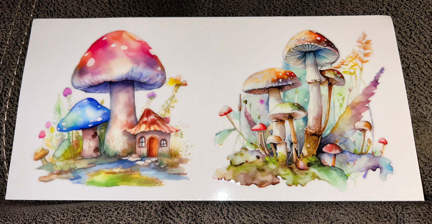 Mushroom 1