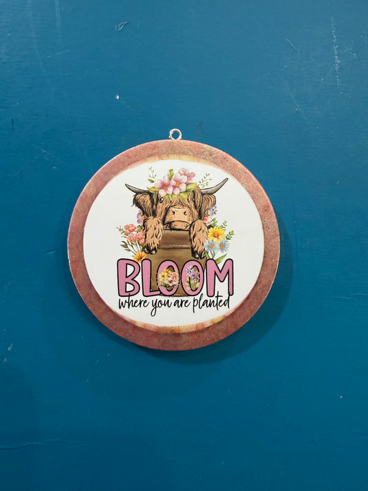 Cucumber Melon.  (Bloom where you are planted)