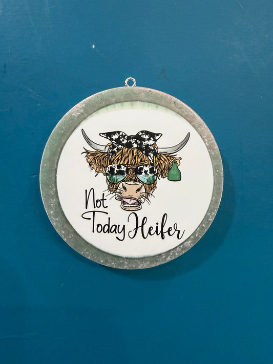 Cucumber Melon (Not Today Heifer)