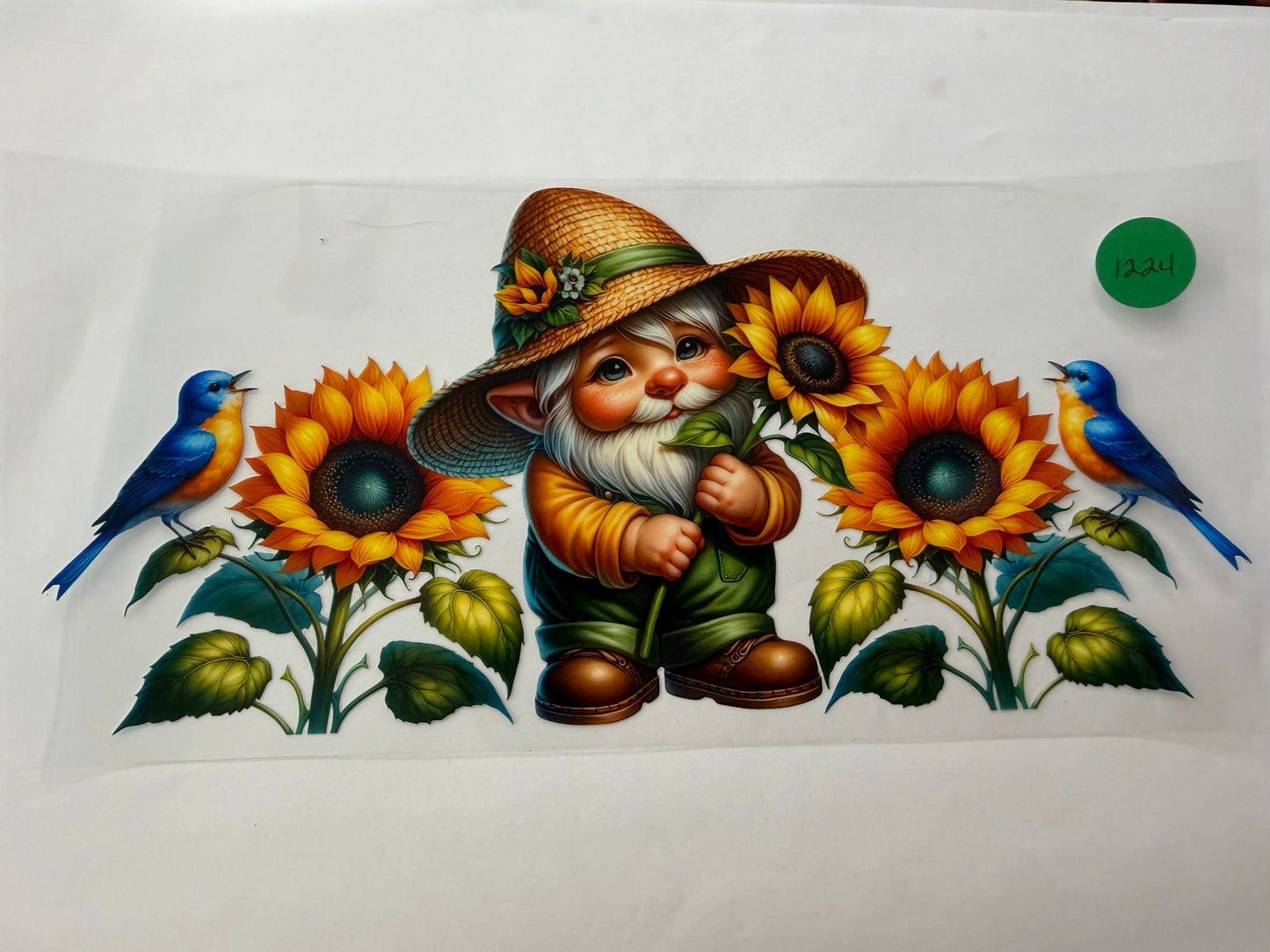 1224 Gnome