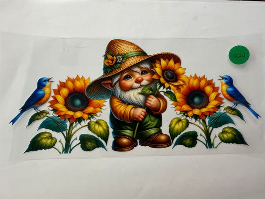 1224 Gnome