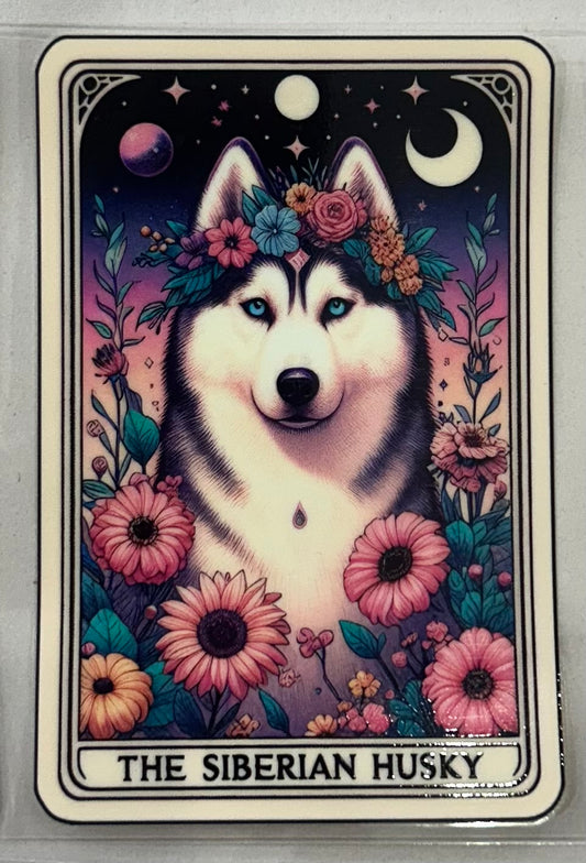 703 Dog Siberian Husky