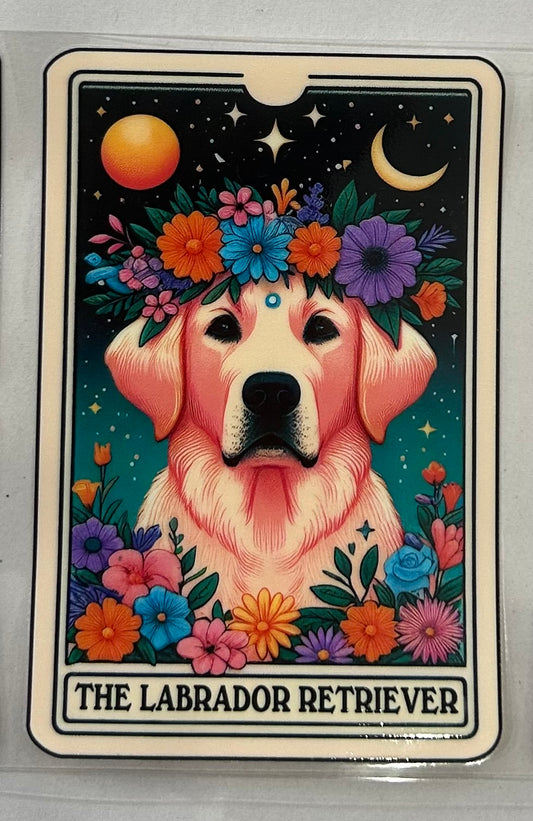 702 Dog Labrador Retriever