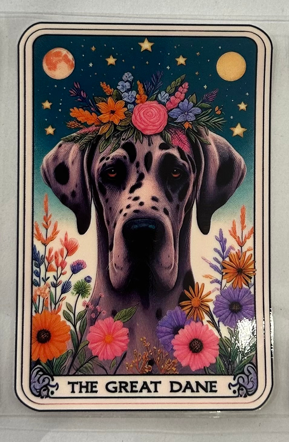701 Dog Great Dane wrap
