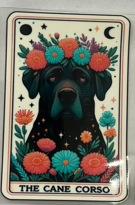 705 Dog Cane Corso wrap