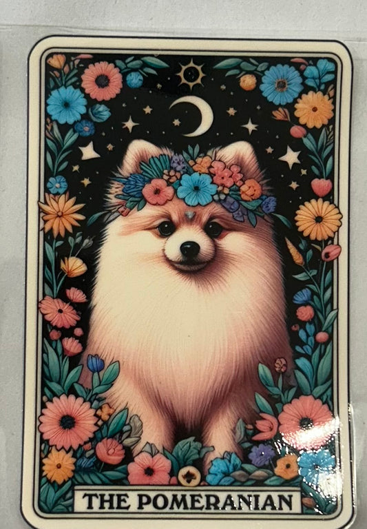 706 Dog Pomeranian wrap