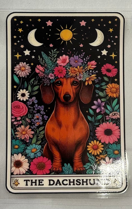 704 Dog Dachshund wrap
