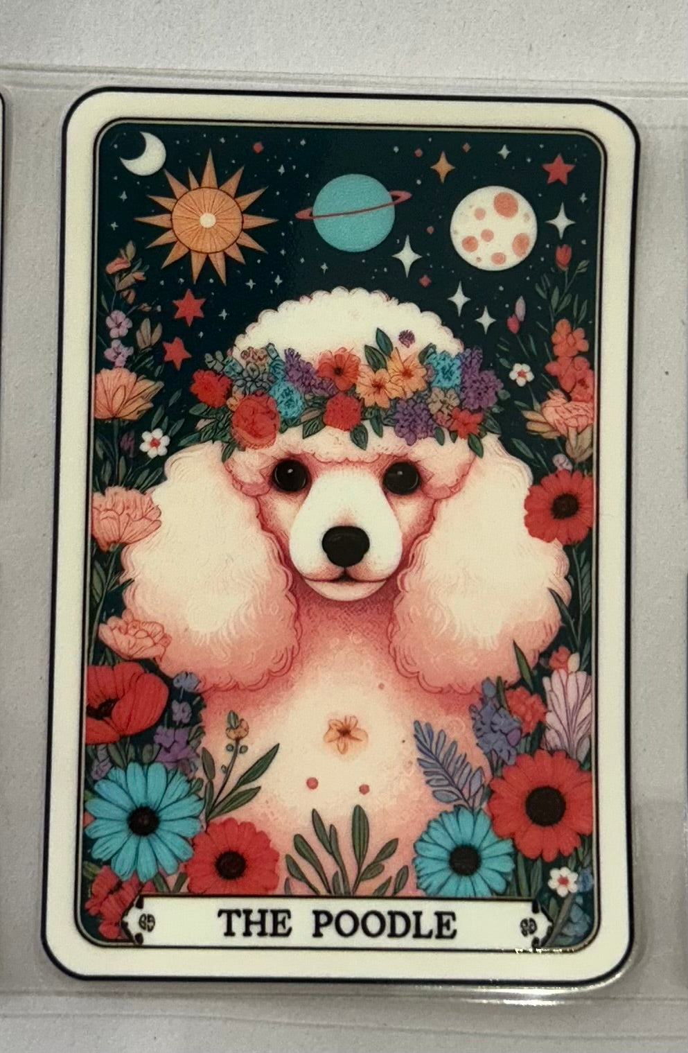 718 Dog Poodle wrap
