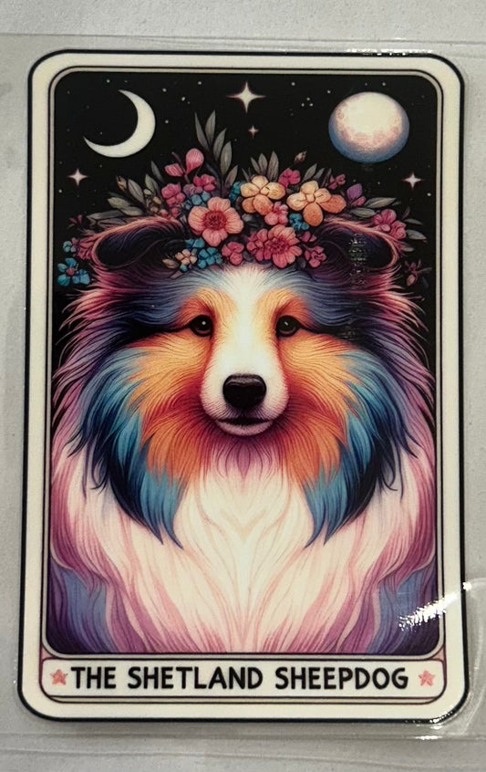 715 Dog Shetland Sheepdog wrap