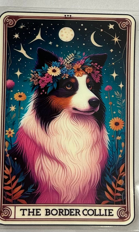 716 Dog Border Collie wrap