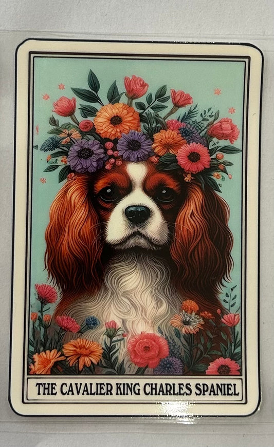Dog Cavalier King Charles Spaniel 25 wrap
