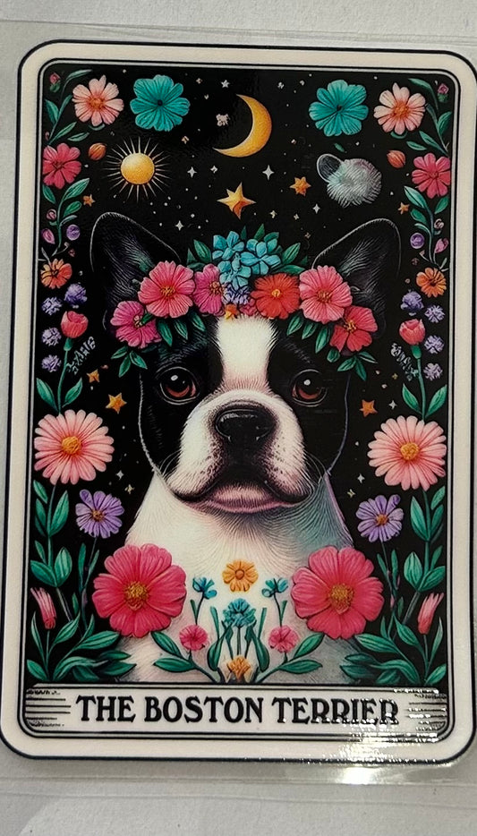 710 Dog Boston Terrier