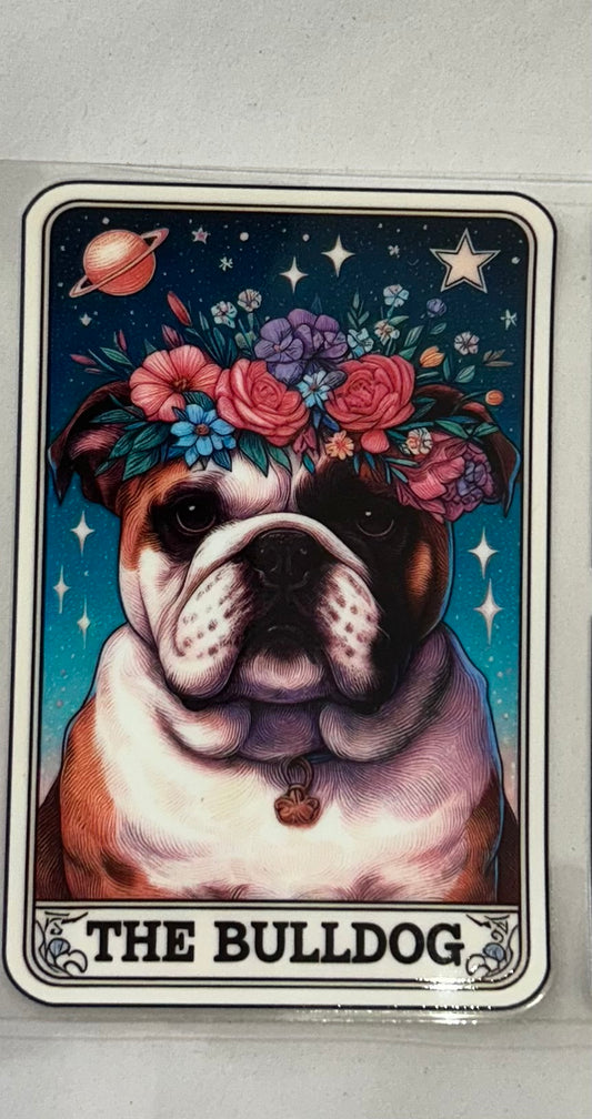 709 Dog Bulldog wrap