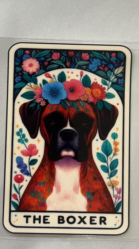 717 Dog Boxer wrap